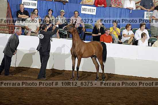 Proof Number 10r12_6375