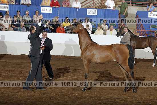 Proof Number 10r12_6379