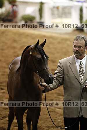 Proof Number 10r12_6381