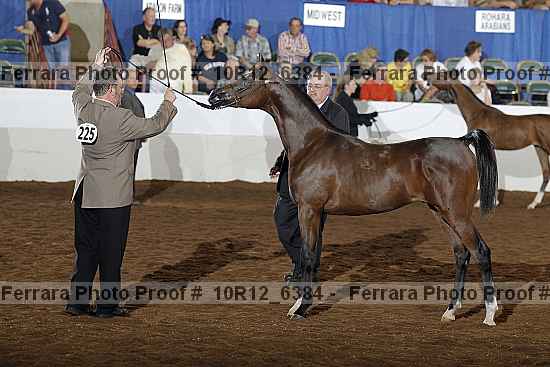 Proof Number 10r12_6384