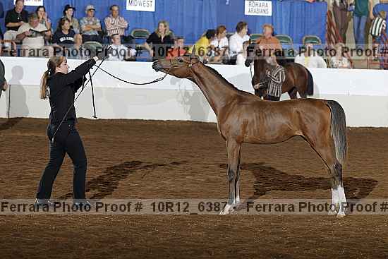 Proof Number 10r12_6387