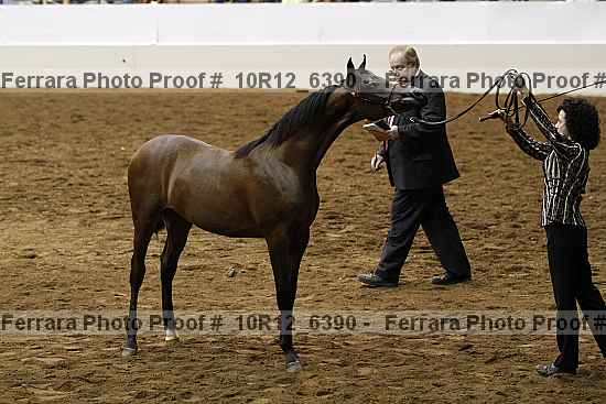 Proof Number 10r12_6390