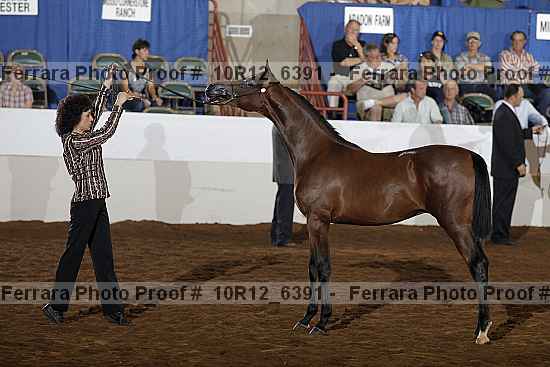 Proof Number 10r12_6391
