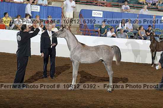 Proof Number 10r12_6392