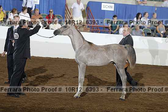 Proof Number 10r12_6393