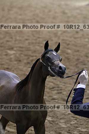 Proof Number 10r12_6394
