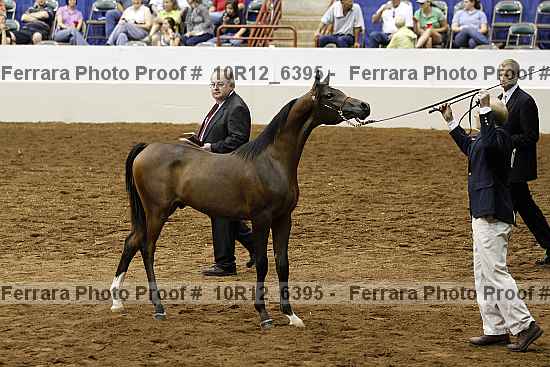 Proof Number 10r12_6395