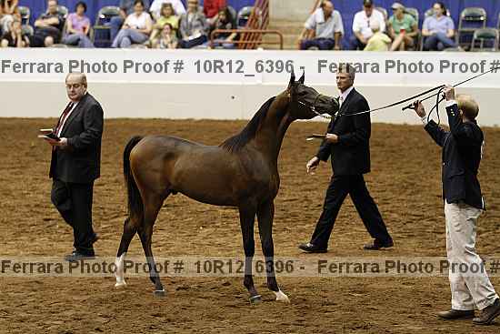 Proof Number 10r12_6396
