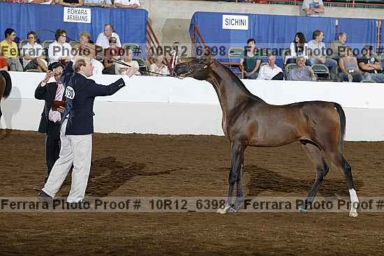 Proof Number 10r12_6398