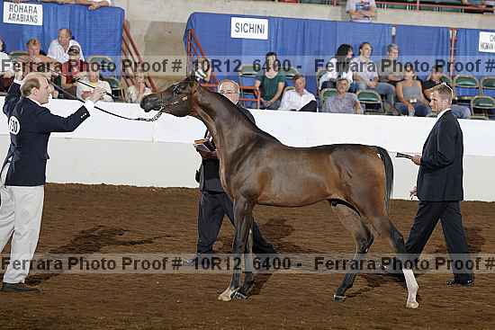 Proof Number 10r12_6400