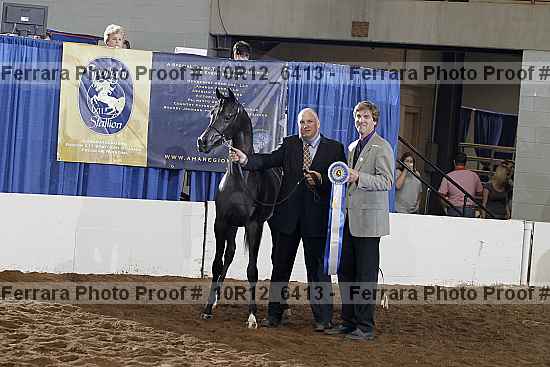 Proof Number 10r12_6413