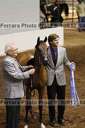 Proof Number 10r12_6417
