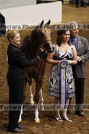 Proof Number 10r12_6427
