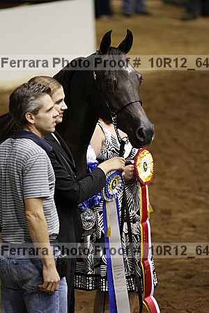 Proof Number 10r12_6431
