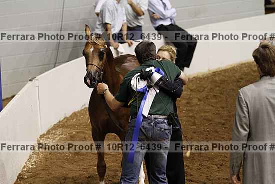 Proof Number 10r12_6439