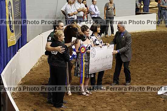 Proof Number 10r12_6446