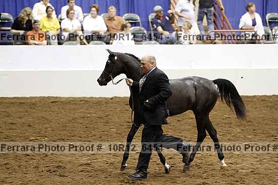 Proof Number 10r12_6454
