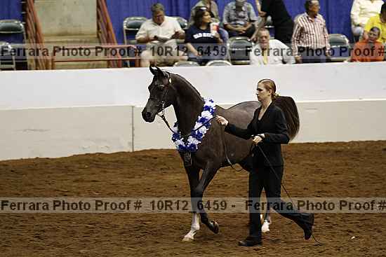 Proof Number 10r12_6459