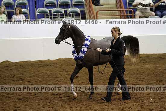 Proof Number 10r12_6460