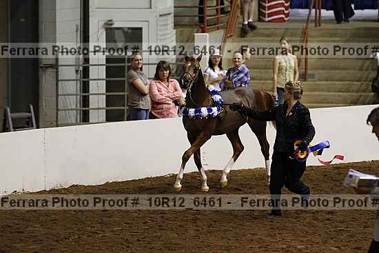 Proof Number 10r12_6461