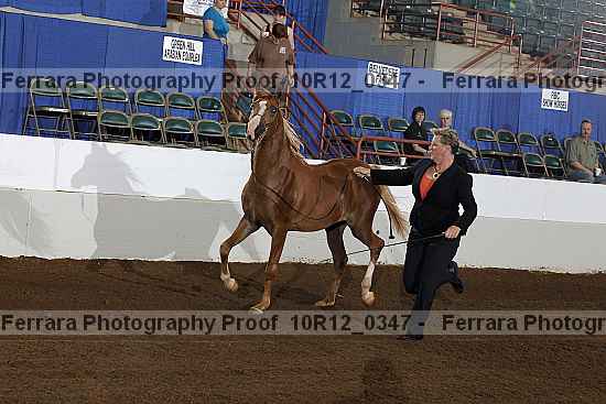 Proof Number 10r12_0347
