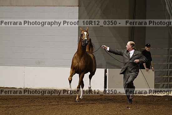 Proof Number 10r12_0350