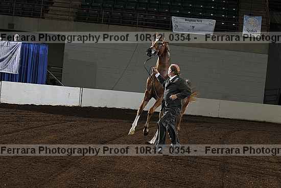 Proof Number 10r12_0354
