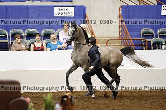 Proof Number 10r12_0360
