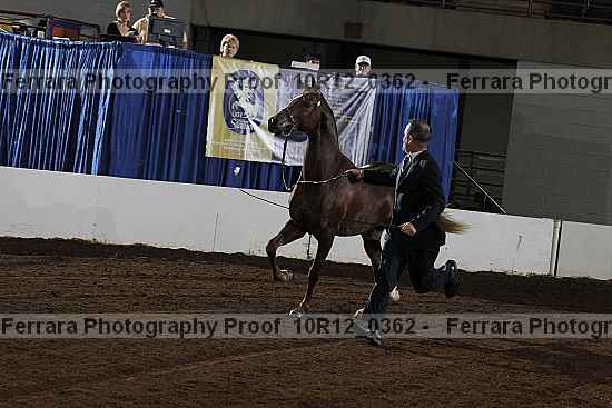 Proof Number 10r12_0362