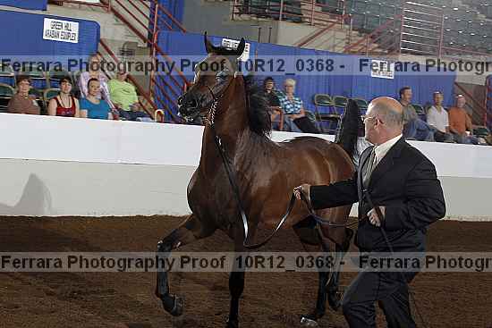 Proof Number 10r12_0368