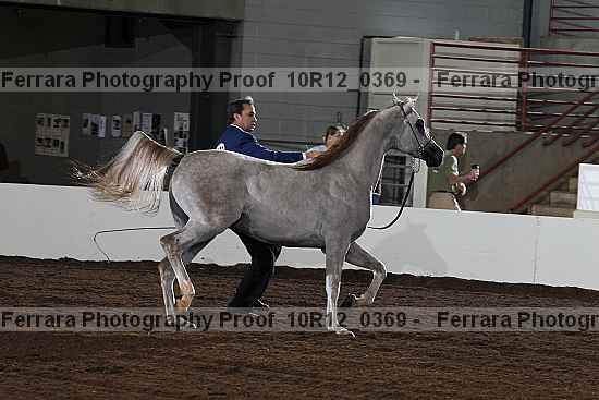 Proof Number 10r12_0369