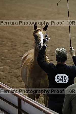 Proof Number 10r12_0372