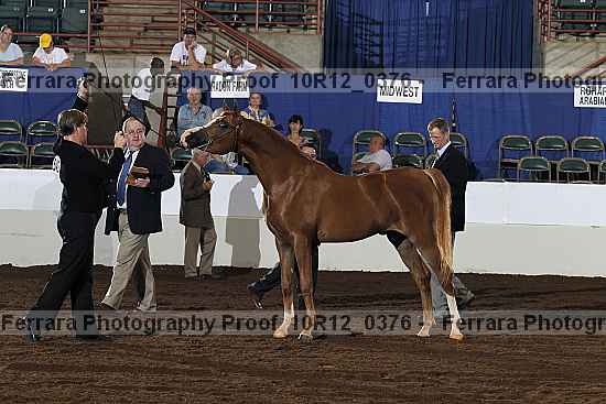 Proof Number 10r12_0376
