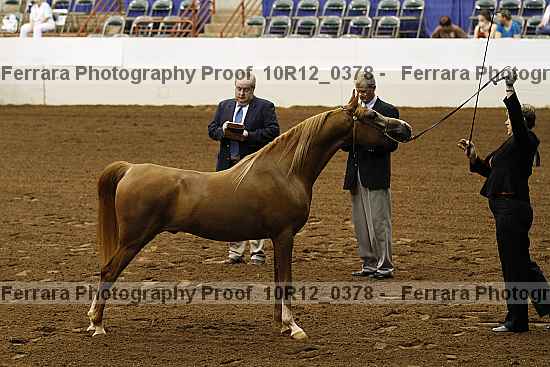 Proof Number 10r12_0378