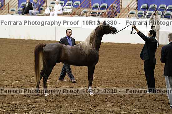 Proof Number 10r12_0380