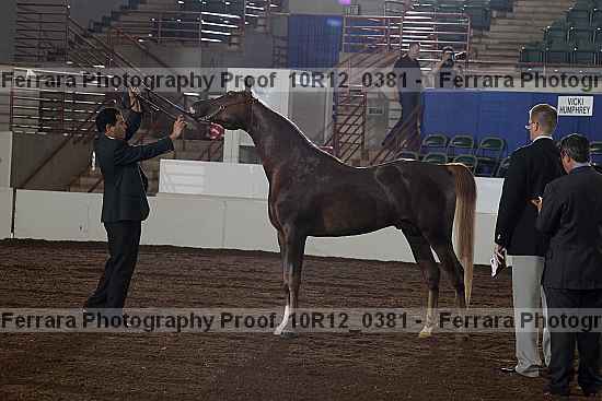 Proof Number 10r12_0381