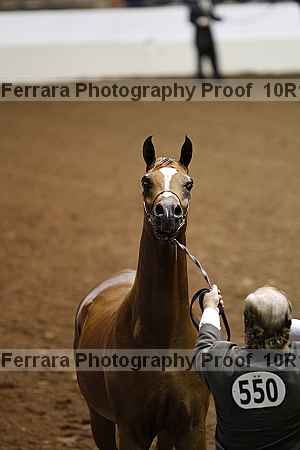 Proof Number 10r12_0383