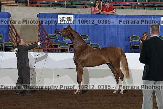 Proof Number 10r12_0385