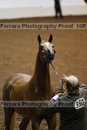 Proof Number 10r12_0386