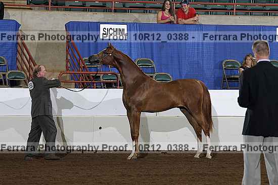Proof Number 10r12_0388