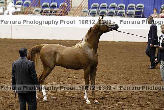 Proof Number 10r12_0389