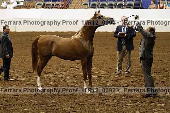 Proof Number 10r12_0392