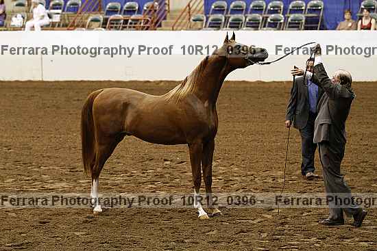 Proof Number 10r12_0396