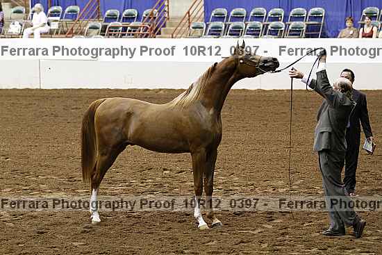 Proof Number 10r12_0397