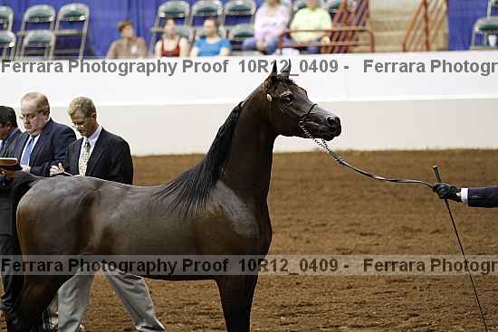 Proof Number 10r12_0409