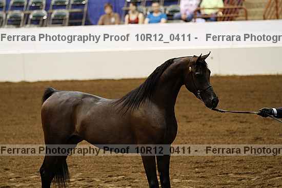 Proof Number 10r12_0411