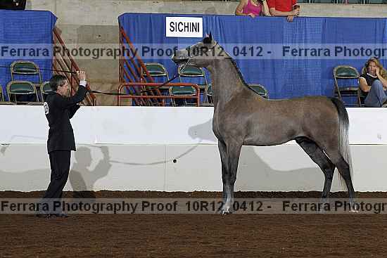 Proof Number 10r12_0412