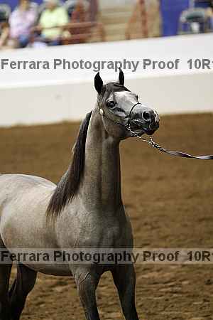 Proof Number 10r12_0420
