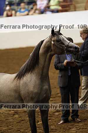 Proof Number 10r12_0425