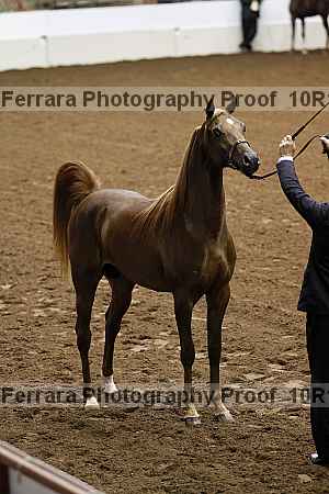 Proof Number 10r12_0427